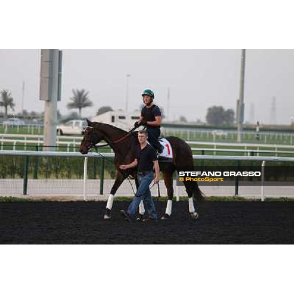 Royal Delta morning track works Dubai - Meydan racecourse,27th march 2013 ph.Stefano Grasso