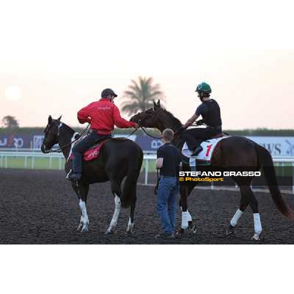 Royal Delta morning track works Dubai - Meydan racecourse,27th march 2013 ph.Stefano Grasso