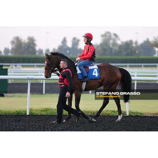 Zazou morning track works Dubai - Meydan racecourse,27th march 2013 ph.Stefano Grasso