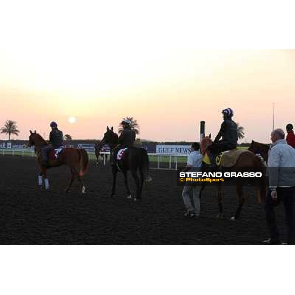 The French connection witth Alain De Royer Dupre morning track works Dubai - Meydan racecourse,27th march 2013 ph.Stefano Grasso
