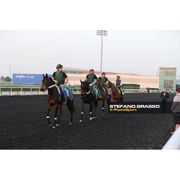 The French connection witth Alain De Royer Dupre morning track works Dubai - Meydan racecourse,27th march 2013 ph.Stefano Grasso