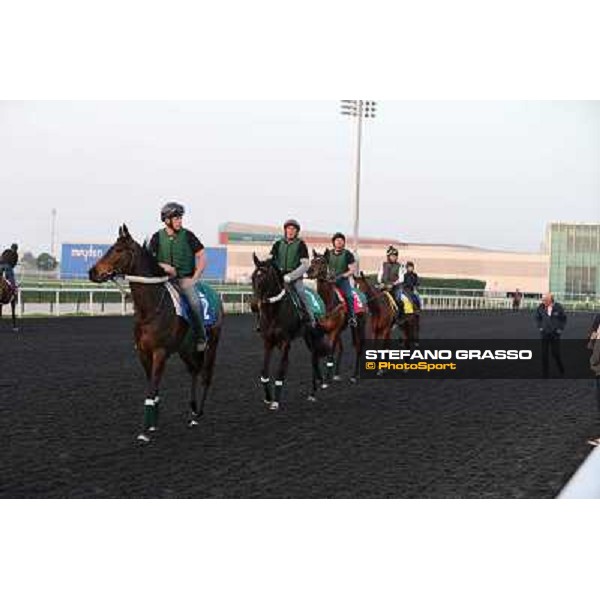 The French connection witth Alain De Royer Dupre morning track works Dubai - Meydan racecourse,27th march 2013 ph.Stefano Grasso