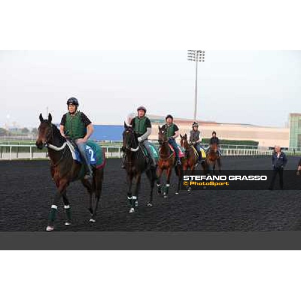 The French connection witth Alain De Royer Dupre morning track works Dubai - Meydan racecourse,27th march 2013 ph.Stefano Grasso