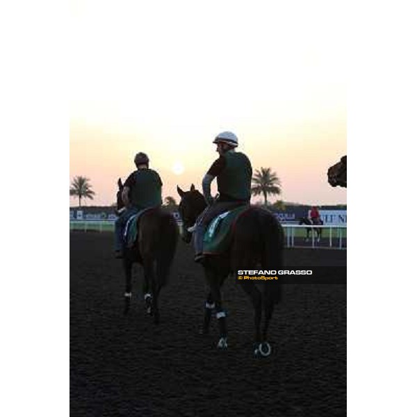 The French connection witth Alain De Royer Dupre morning track works Dubai - Meydan racecourse,27th march 2013 ph.Stefano Grasso