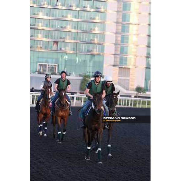 Sarkyla leads the french connection morning track works Dubai - Meydan racecourse,27th march 2013 ph.Stefano Grasso