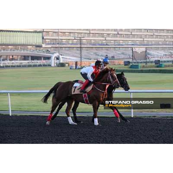 Taisei Legend and Keiai Leone morning track works Dubai - Meydan racecourse,27th march 2013 ph.Stefano Grasso