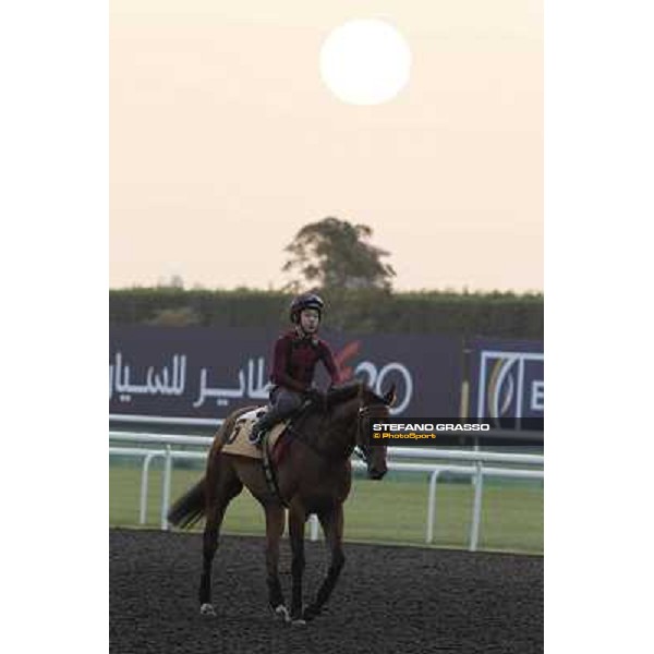 Fredrick Engels morning track works Dubai - Meydan racecourse,27th march 2013 ph.Stefano Grasso