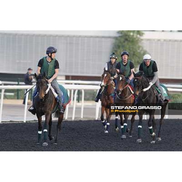 The French connection witth Alain De Royer Dupre morning track works Dubai - Meydan racecourse,27th march 2013 ph.Stefano Grasso