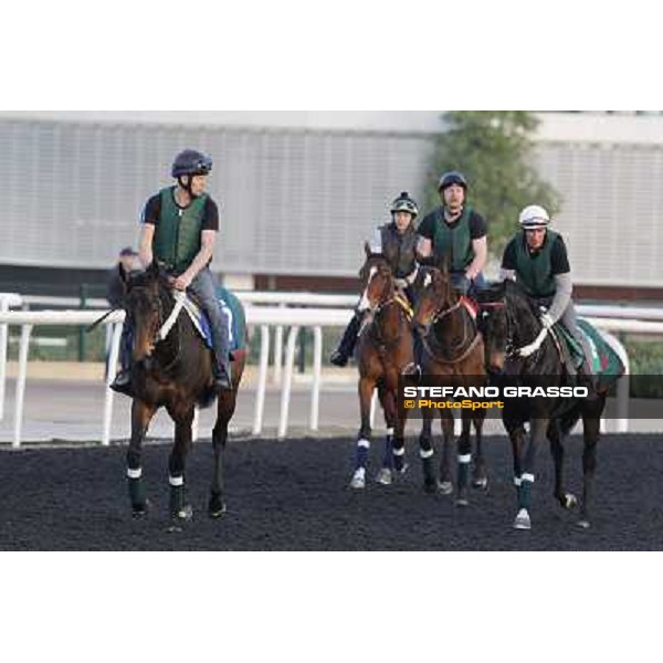 The French connection witth Alain De Royer Dupre morning track works Dubai - Meydan racecourse,27th march 2013 ph.Stefano Grasso