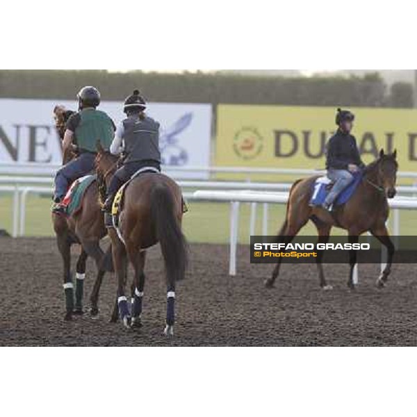 The French connection witth Alain De Royer Dupre morning track works Dubai - Meydan racecourse,27th march 2013 ph.Stefano Grasso