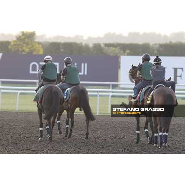 The French connection witth Alain De Royer Dupre morning track works Dubai - Meydan racecourse,27th march 2013 ph.Stefano Grasso