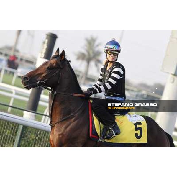 Trade Storm morning track works Dubai - Meydan racecourse,27th march 2013 ph.Stefano Grasso