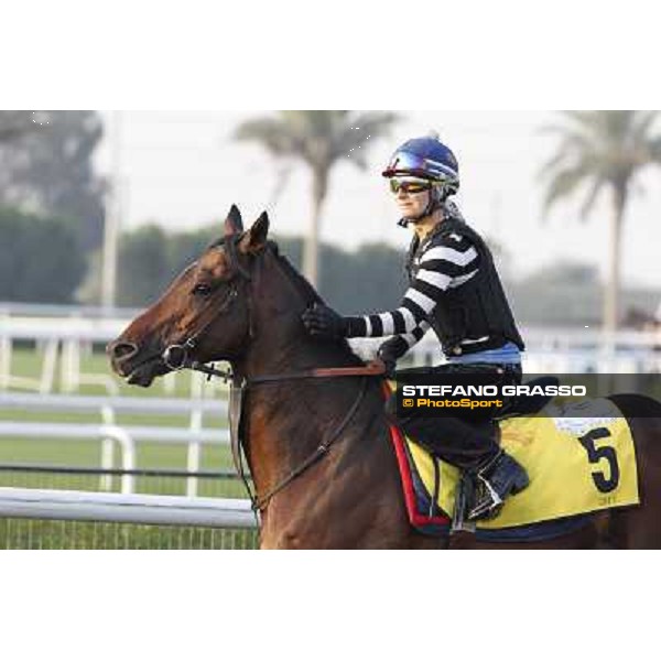 Trade Storm morning track works Dubai - Meydan racecourse,27th march 2013 ph.Stefano Grasso