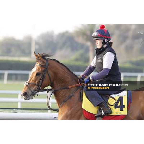 I\'m a Dreamer morning track works Dubai - Meydan racecourse,27th march 2013 ph.Stefano Grasso