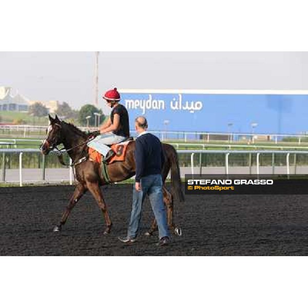 Sole Power morning track works Dubai - Meydan racecourse,27th march 2013 ph.Stefano Grasso