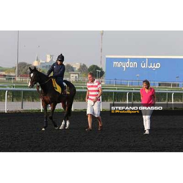 I\'m a Dreamer morning track works Dubai - Meydan racecourse,27th march 2013 ph.Stefano Grasso
