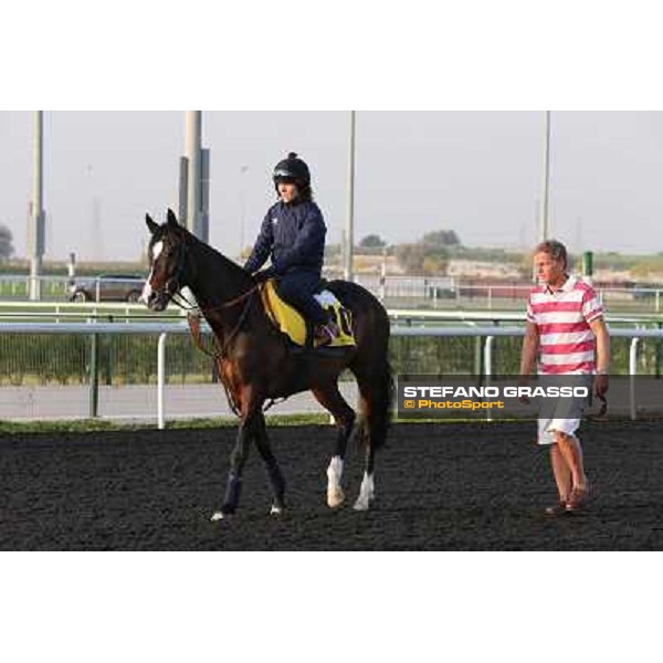 I\'m a Dreamer morning track works Dubai - Meydan racecourse,27th march 2013 ph.Stefano Grasso