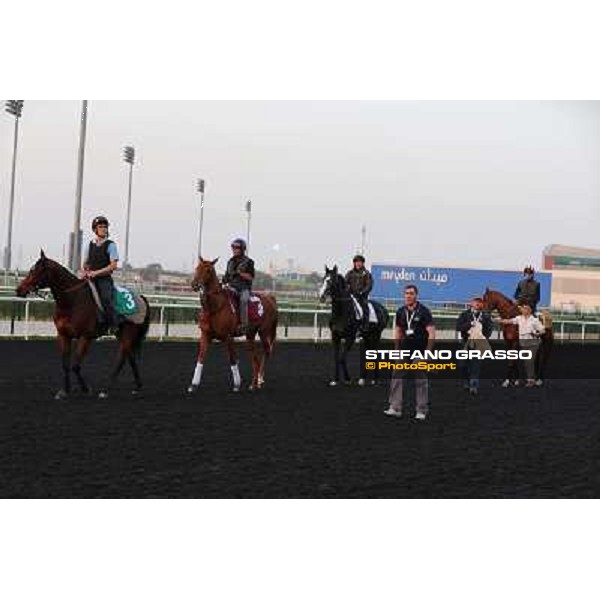 The French connection witth Alain De Royer Dupre morning track works Dubai - Meydan racecourse,27th march 2013 ph.Stefano Grasso