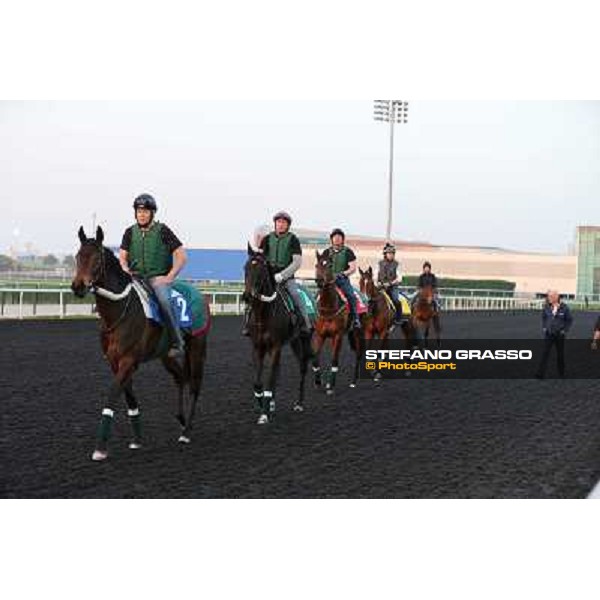 The French connection witth Alain De Royer Dupre morning track works Dubai - Meydan racecourse,27th march 2013 ph.Stefano Grasso