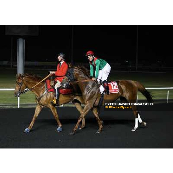 Animal Kingdom,Joel Rosario up,wins the Dubai World Cup Dubai,30th march 2013 ph.Stefano Grasso