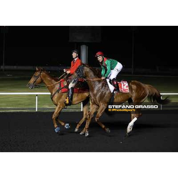 Animal Kingdom,Joel Rosario up,wins the Dubai World Cup Dubai,30th march 2013 ph.Stefano Grasso