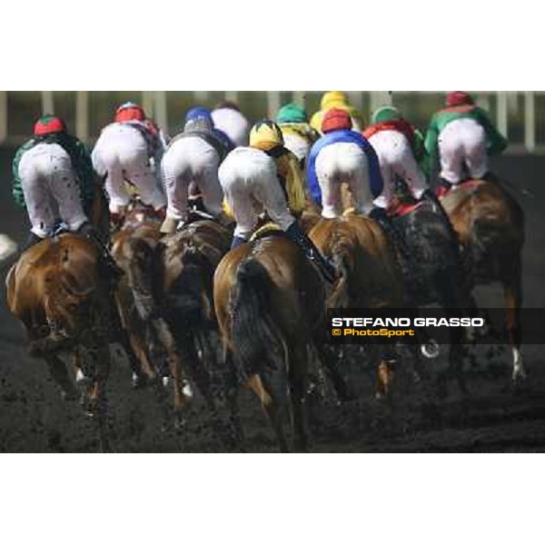 Animal Kingdom,Joel Rosario up,wins the Dubai World Cup Dubai,30th march 2013 ph.Stefano Grasso