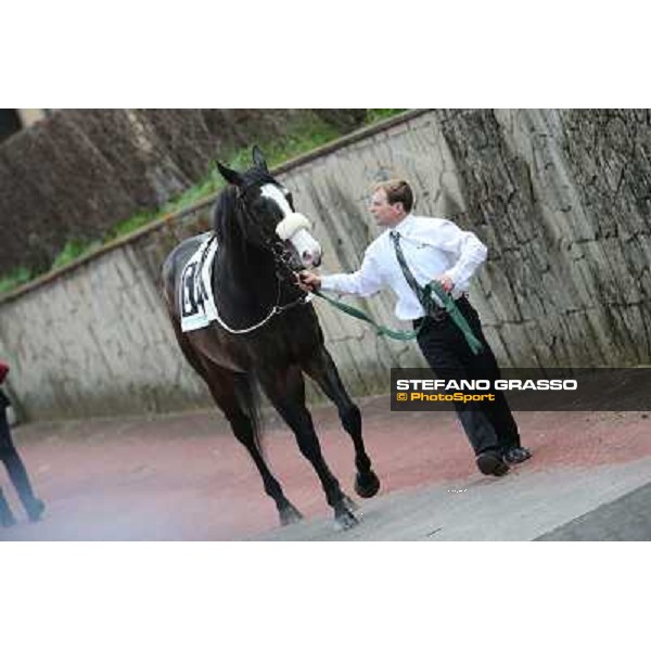 Vedelago before winning the Premio Gentlewave Rome - Capannelle racecourse,1st april 2013 ph.Stefano Grasso