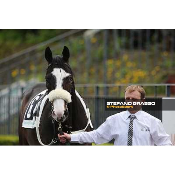 Vedelago before winning the Premio Gentlewave Rome - Capannelle racecourse,1st april 2013 ph.Stefano Grasso