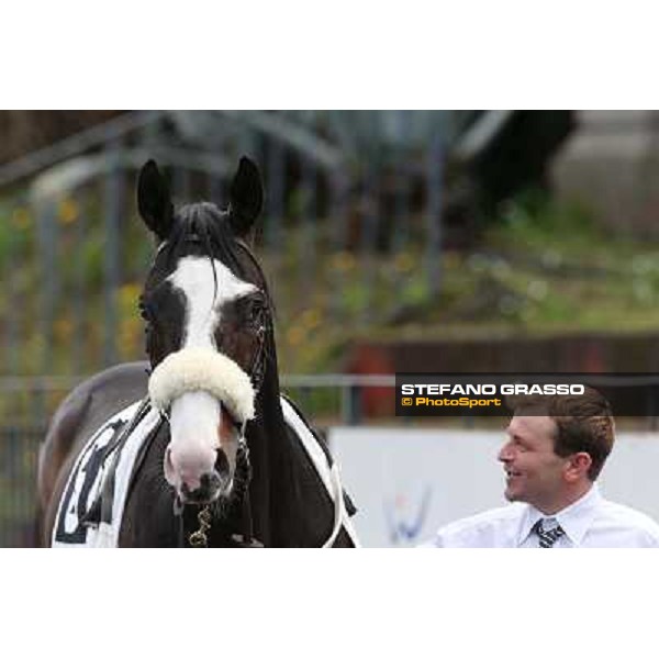 Vedelago before winning the Premio Gentlewave Rome - Capannelle racecourse,1st april 2013 ph.Stefano Grasso