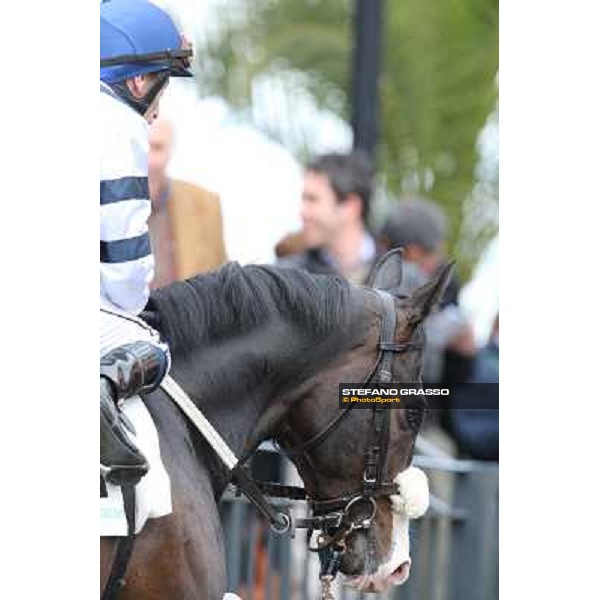 Vedelago and Mario Esposito before winning the Premio Gentlewave Rome - Capannelle racecourse,1st april 2013 ph.Stefano Grasso