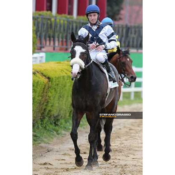 Vedelago,Mario Esposito after winning the Premio Gentlewave Rome - Capannelle racecourse,1st april 2013 ph.Stefano Grasso