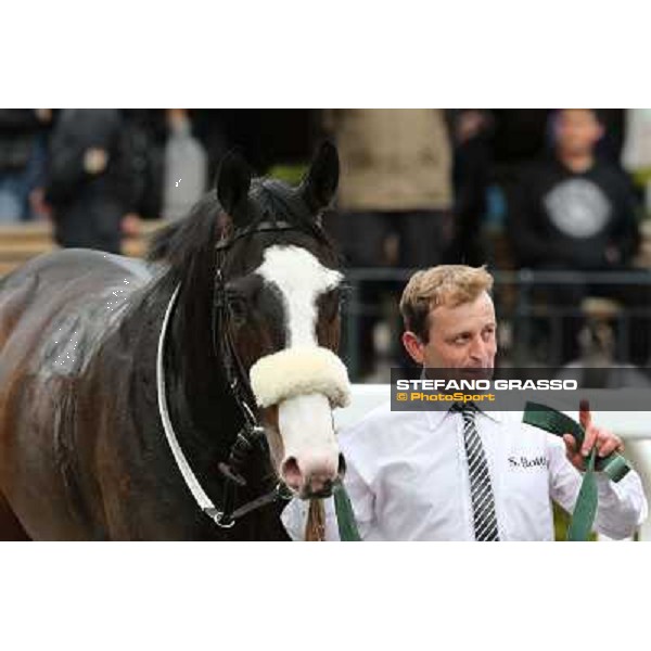 Vedelago and his groom after winning the Premio Gentlewave Rome - Capannelle racecourse,1st april 2013 ph.Stefano Grasso