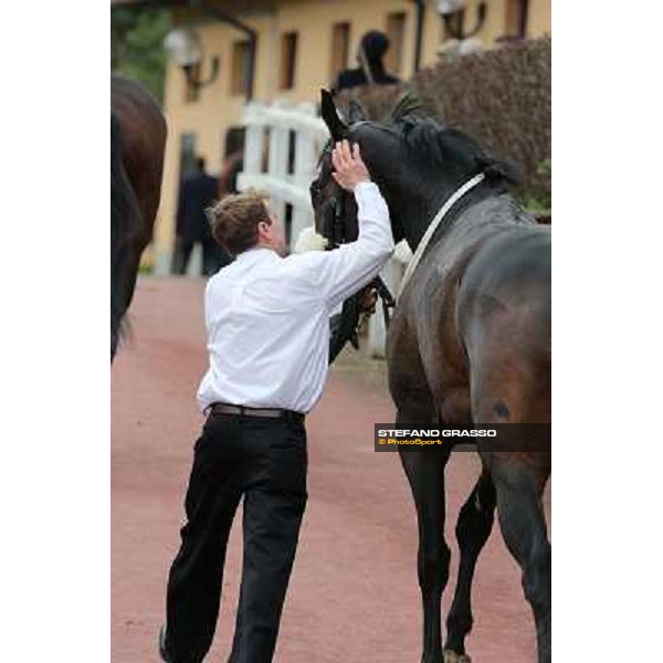 Vedelago and his groom after winning the Premio Gentlewave Rome - Capannelle racecourse,1st april 2013 ph.Stefano Grasso
