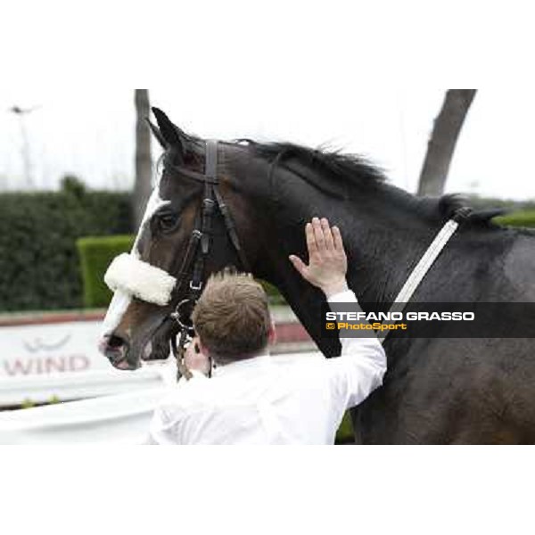Vedelago and his groom after winning the Premio Gentlewave Rome - Capannelle racecourse,1st april 2013 ph.Stefano Grasso
