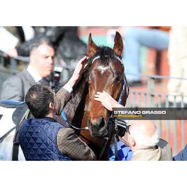 Sergio Scarpellini and Luigi Riccardi congratulate with Lodovico Il Moro after winning the Premo Daumier Roma - Capannelle racecourse.7th april 2013 ph.Stefano Grasso