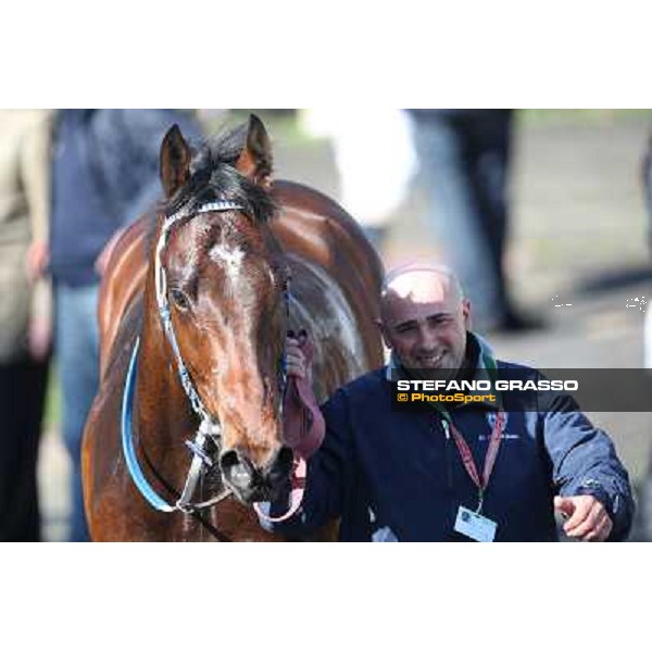 Lodovico Il Moro after winning the Premio Daumier Rome - Capannelle racecourse,7th april 2013 ph.Stefano Grasso