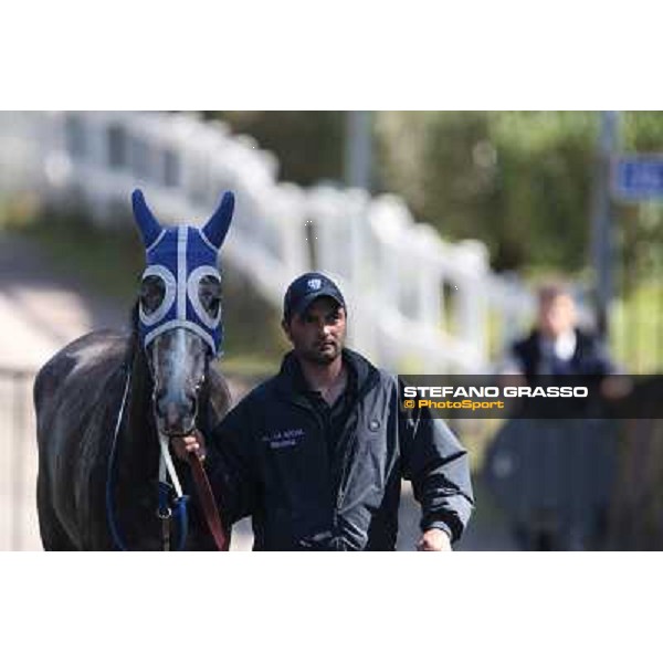 Dark Ray Rome - Capannelle racecourse,7th april 2013 ph.Stefano Grasso