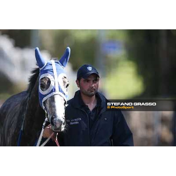 Dark Ray Rome - Capannelle racecourse,7th april 2013 ph.Stefano Grasso