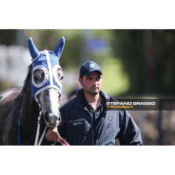 Dark Ray Rome - Capannelle racecourse,7th april 2013 ph.Stefano Grasso