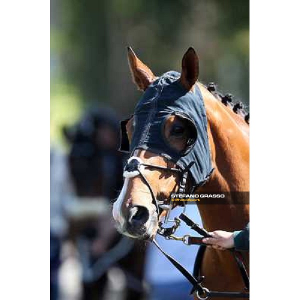 Wedding Fair Rome - Capannelle racecourse,7th april 2013 ph.Stefano Grasso