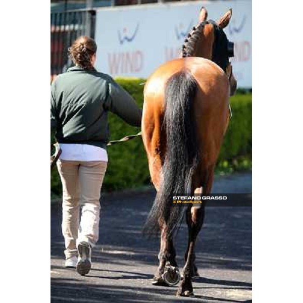 Wedding Fair Rome - Capannelle racecourse,7th april 2013 ph.Stefano Grasso