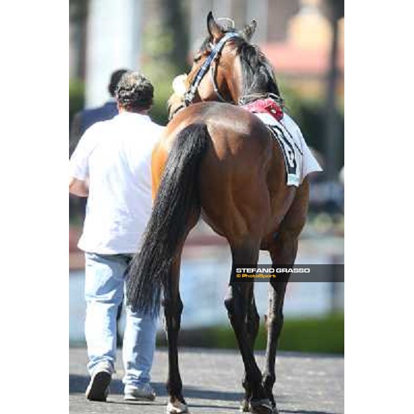 Valvibrata Rome - Capannelle racecourse,7th april 2013 ph.Stefano Grasso