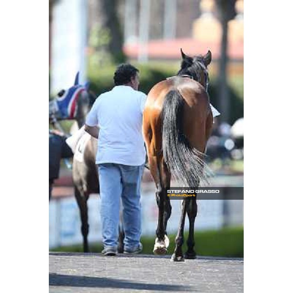Valvibrata Rome - Capannelle racecourse,7th april 2013 ph.Stefano Grasso