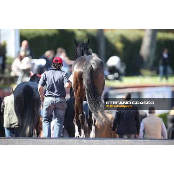 Floral Art Rome - Capannelle racecourse,7th april 2013 ph.Stefano Grasso