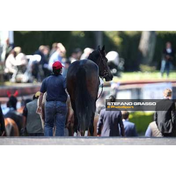 Floral Art Rome - Capannelle racecourse,7th april 2013 ph.Stefano Grasso