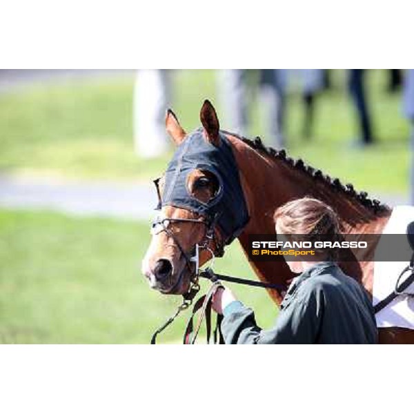 Wedding Fair Rome - Capannelle racecourse,7th april 2013 ph.Stefano Grasso