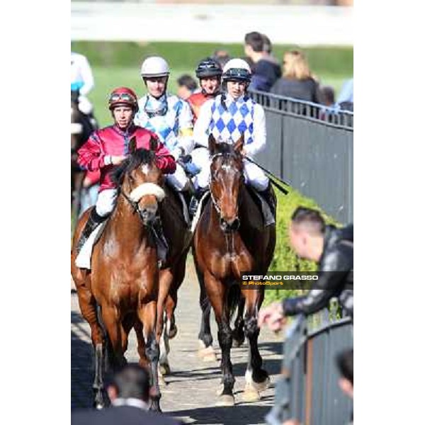 Andrea Mezzatesta on Lodovico il Moro Rome - Capannelle racecourse,7th april 2013 ph.Stefano Grasso