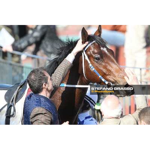 Luigi Riccardi and Lodovico il Moro Rome - Capannelle racecourse,7th april 2013 ph.Stefano Grasso