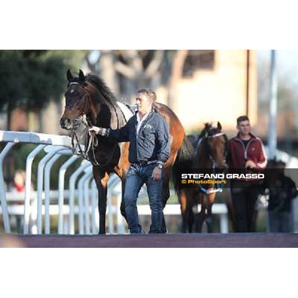 Horses in the saddling area Rome - Capannelle racecourse,7th april 2013 ph.Stefano Grasso
