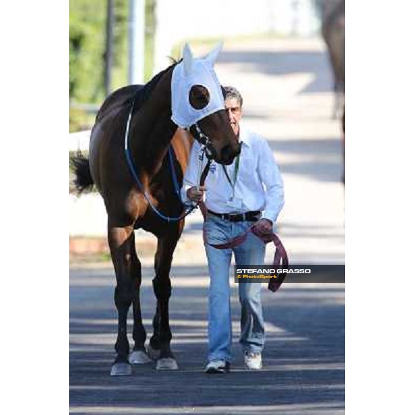 Noble Hacky Rome - Capannelle racecourse,14th april 2013 ph.Stefano Grasso
